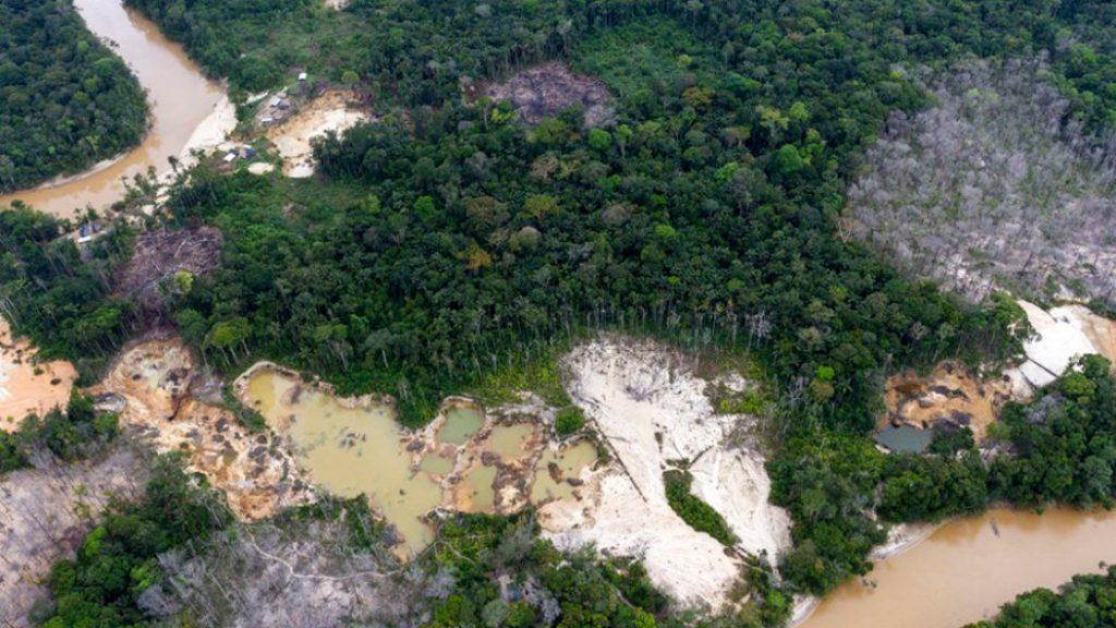  Los bosques en la Amazonía venezolana se han reducido un 28% debido al cambio climático