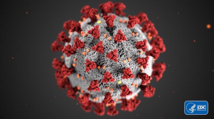 Científicos descubren método para bloquear infección de coronavirus