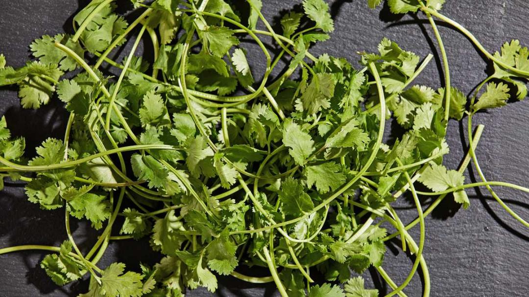 ¿Cómo usar el cilantro para limpiar los riñones?