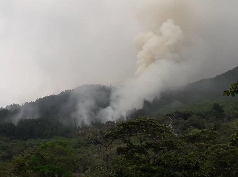 Incendios forestales afectaron a más de 10.000 hectáreas