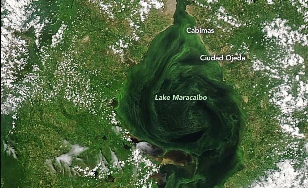 NASA aseguró que el Lago de Maracaibo se está asfixiando con mareas negras y algas